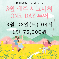 3월 제주 시그니처 원데이투어