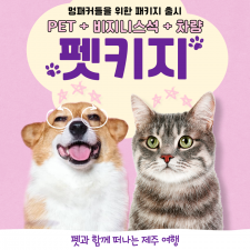 펫키지 (펫 + 비지니스  )