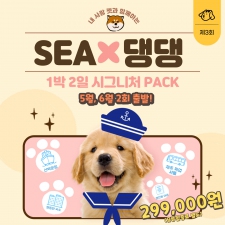 SEA x 댕댕