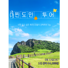 찐도민 투어