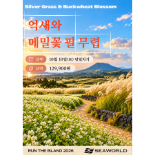 억새와 메밀꽃 필 무렵