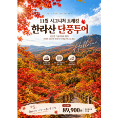 11월 시그니처패키지 
