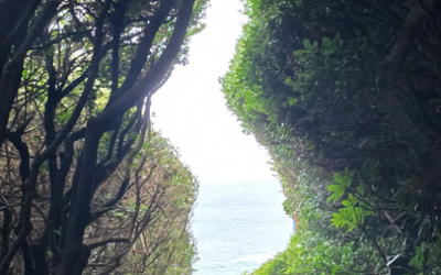 5f2a3521950451d3c7ca5dc108b12b26_1752387123_2195.png